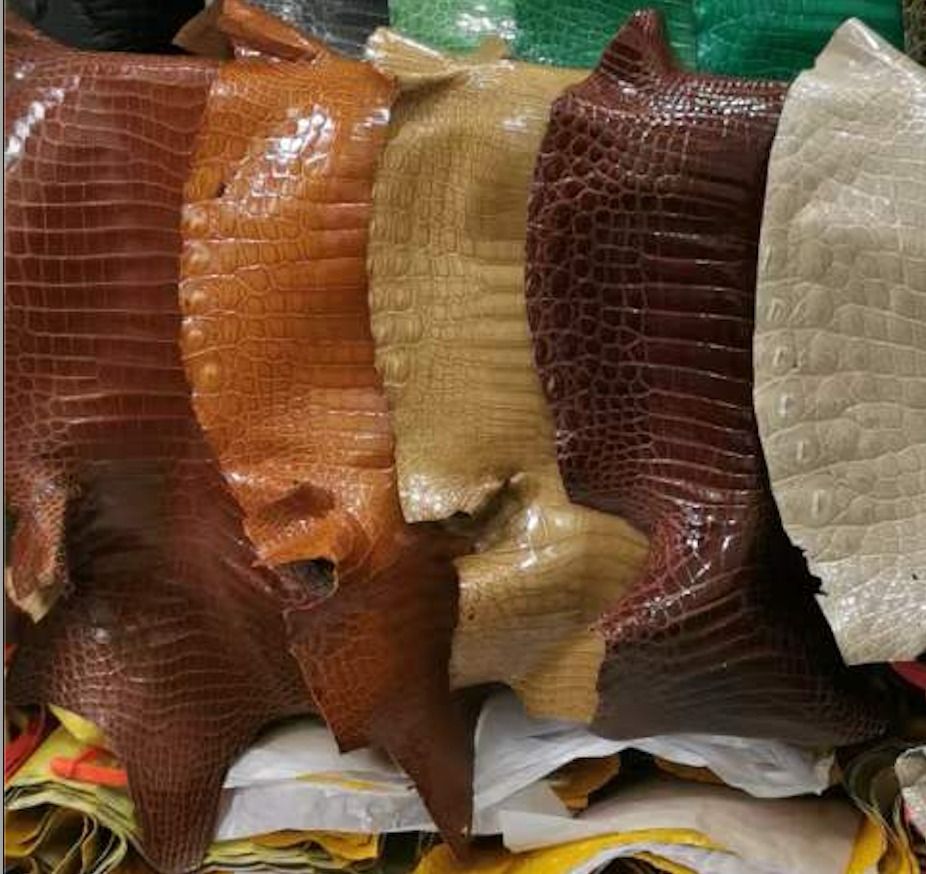 The Differences between Porosus, Alligator, Nile Crocodile: Explained for Leathercrafters, Fashion Designers & Artisan Styles.