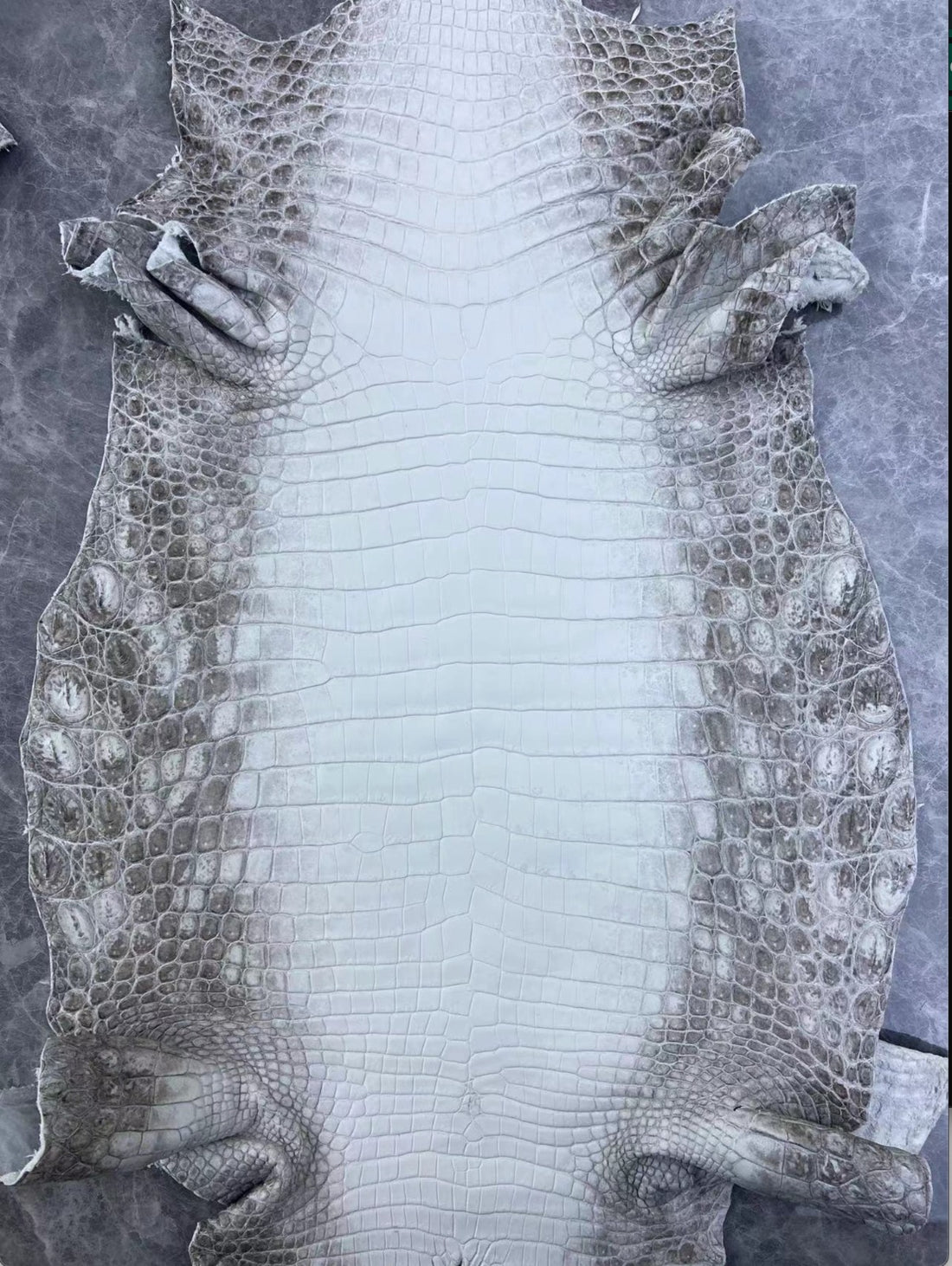 HIMALAYAN CROCODILE - Why the Top Luxury Fashion Brands Desire the Holy Grail of Exotic Leather.