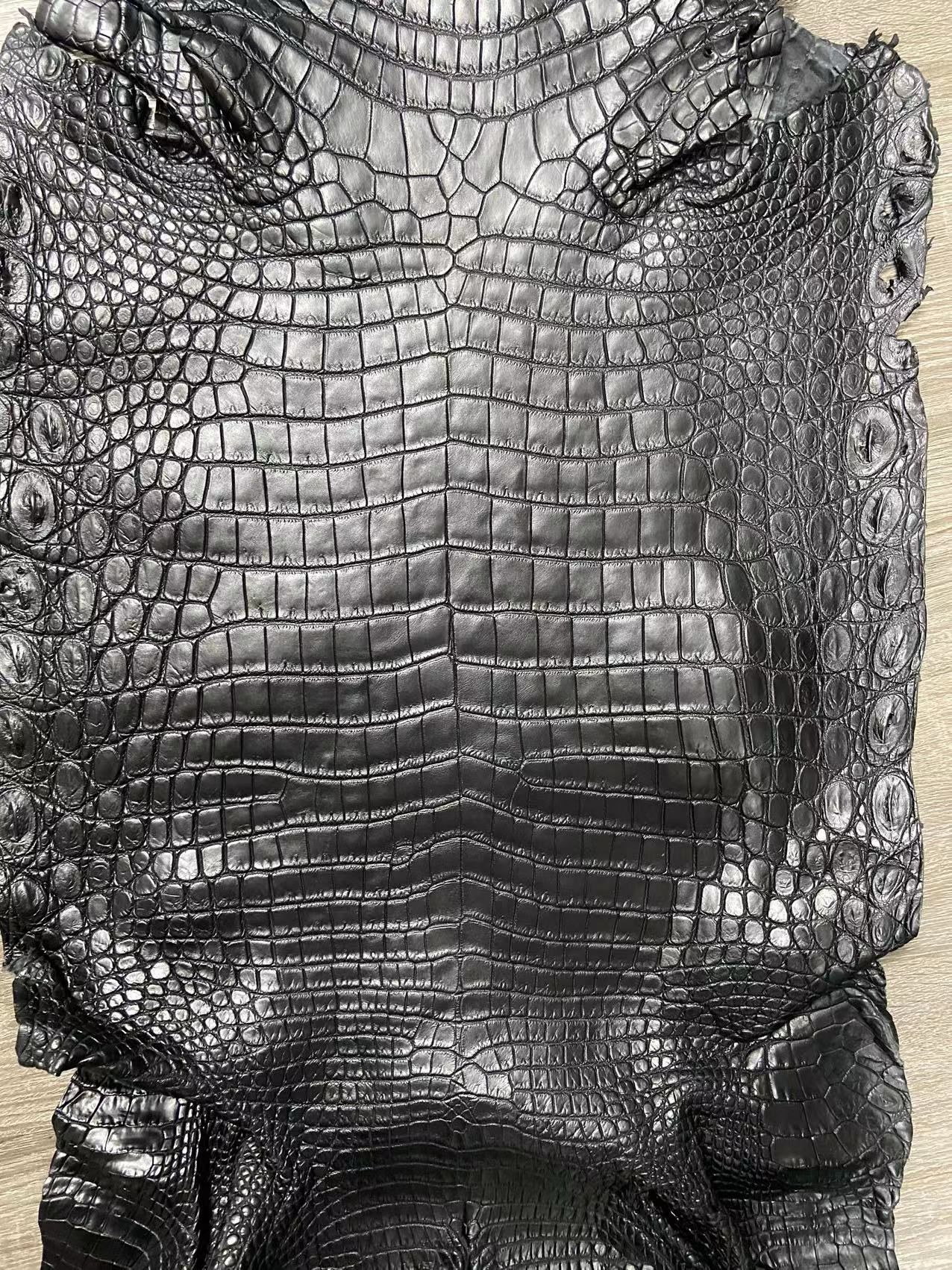 Alligator Skins For Custom Seats & Motorcycle Leather Seats – Sunny ...