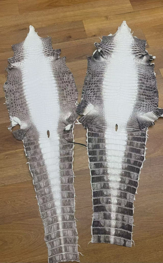 Secure a Grade 1 Himalayan, Receive a Companion Lizard Skin Free