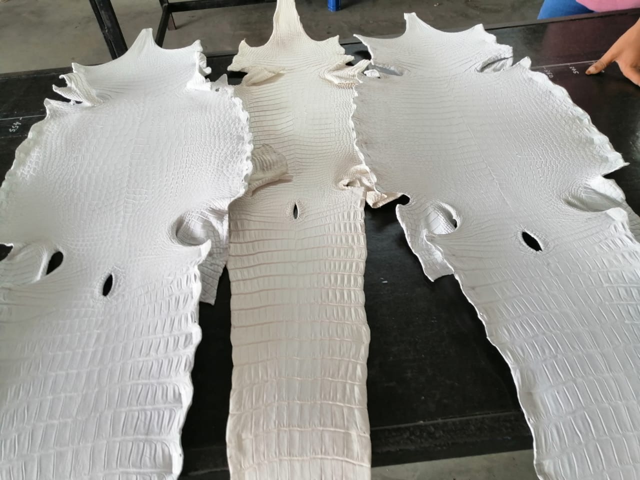 A Comprehensive Overview of the Leather Tanning Process – Sunny Exotic ...