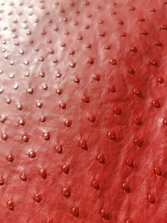 Why Is Ostrich Leather Worth the Investment?