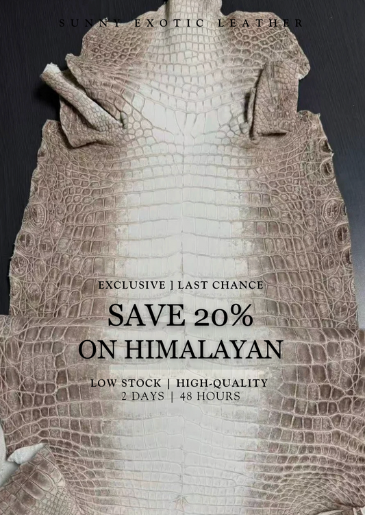 Why Grade 1 Himalayans are so rare 🐊