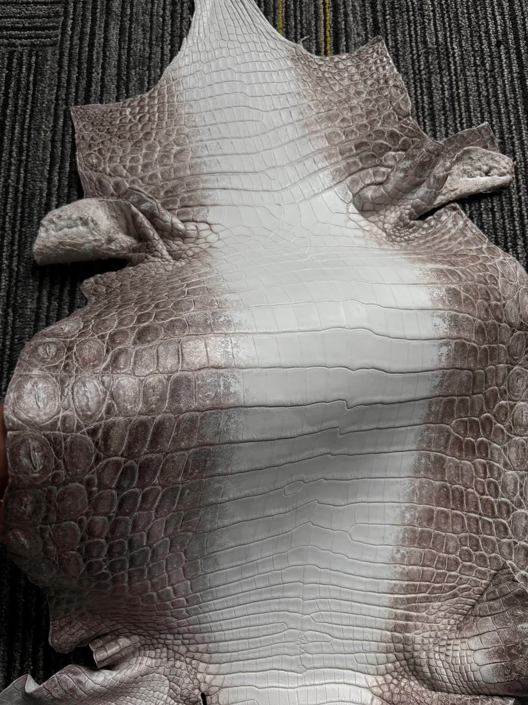 Himalayan Crocodile Exotic Leather