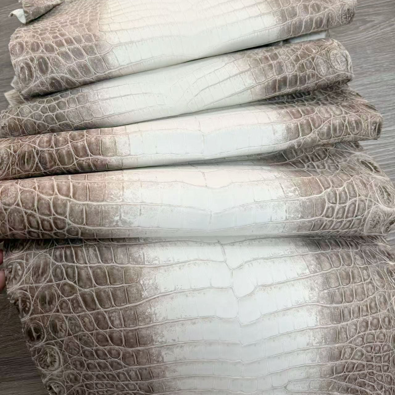 Himalayan Croc Matte Skin (Brown) - Sunny Exotic Leathers