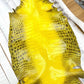 NEW Colored Two-Toned Himalayan Nile Crocodile - Sunny Exotic Leathers
