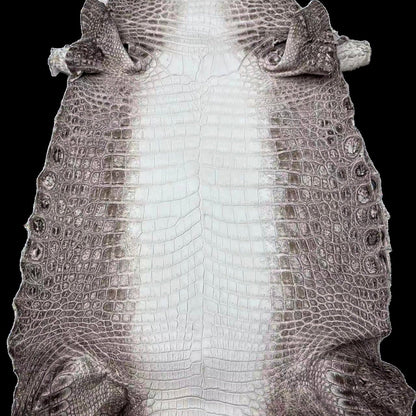 Himalayan Crocodile (Dark)