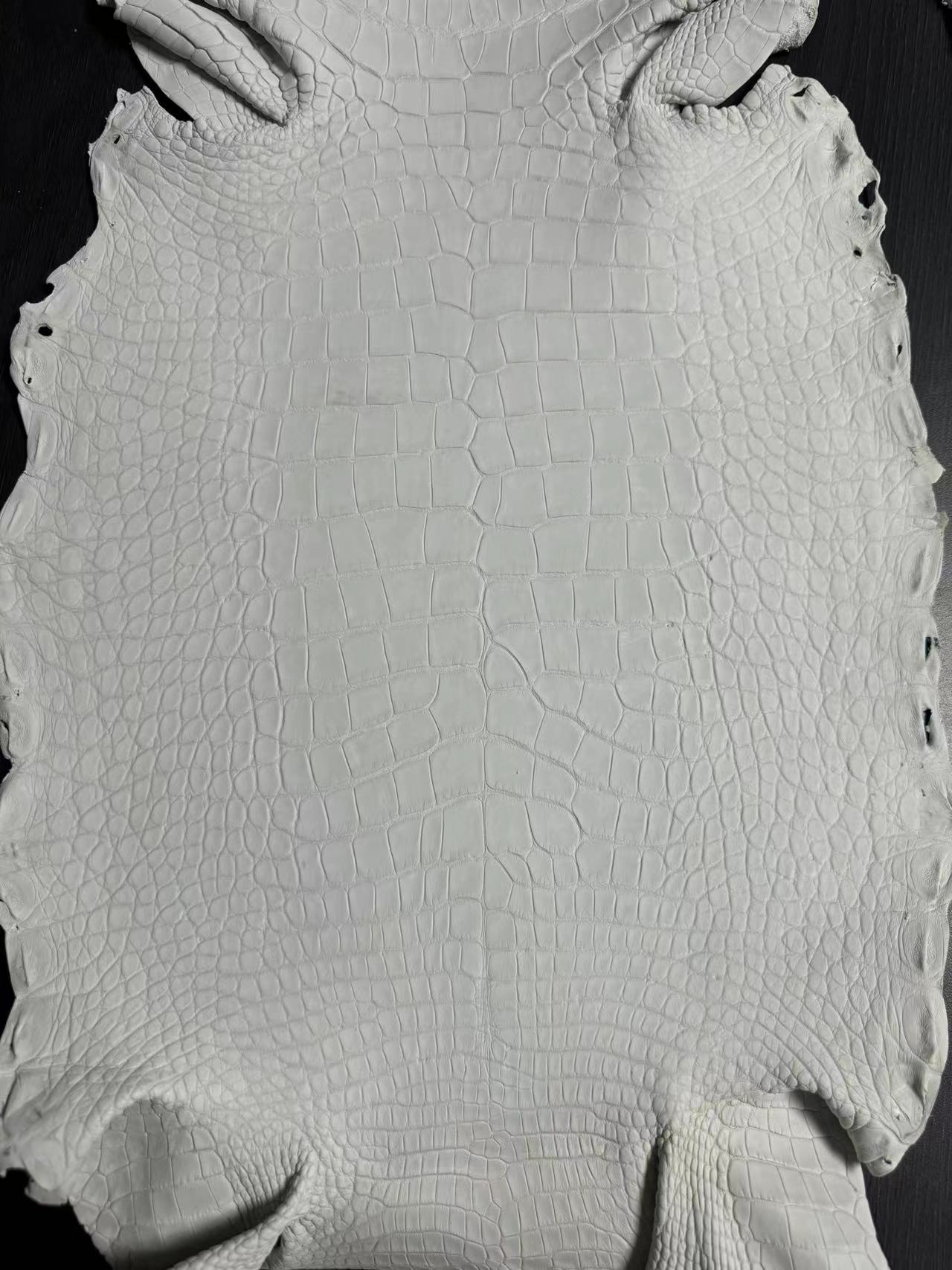 Alligator Crust Skin