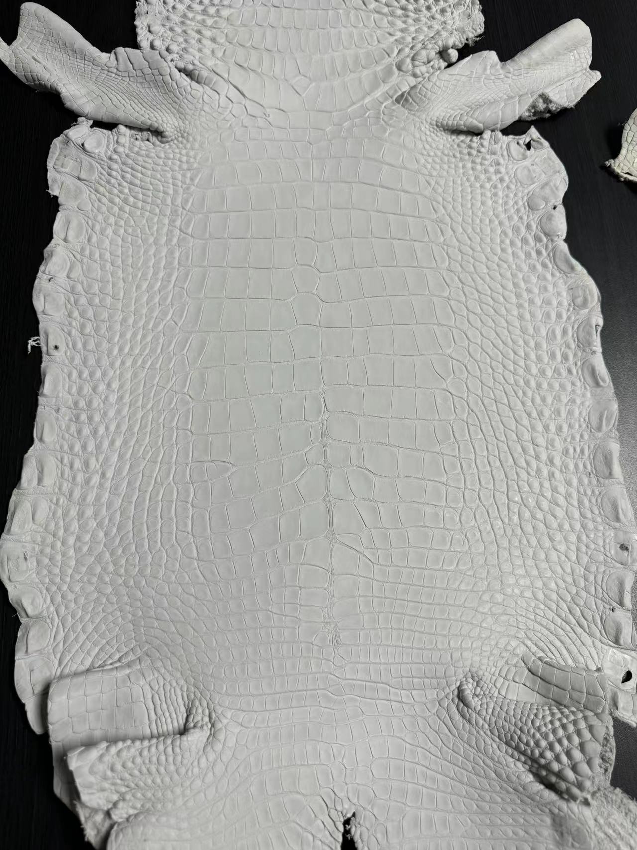 Alligator Crust Skin