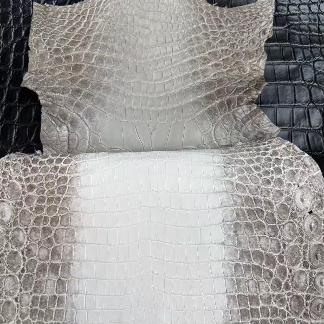 copy Himalayan (Matte) (Copy) - Sunny Exotic Leathers