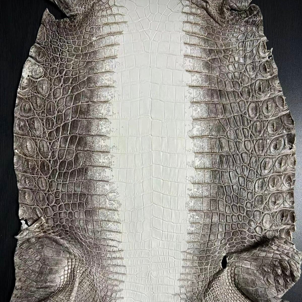 Himalayan Crocodile