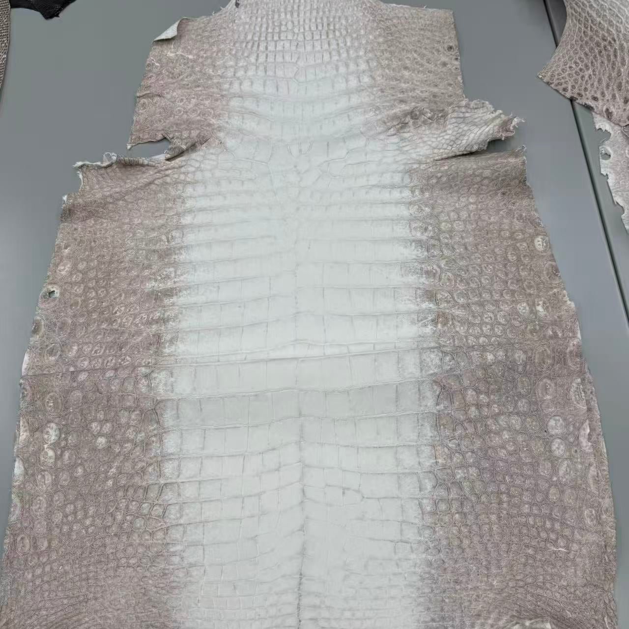 Matte Himalayan Croc Skin (Grey) - Sunny Exotic Leathers