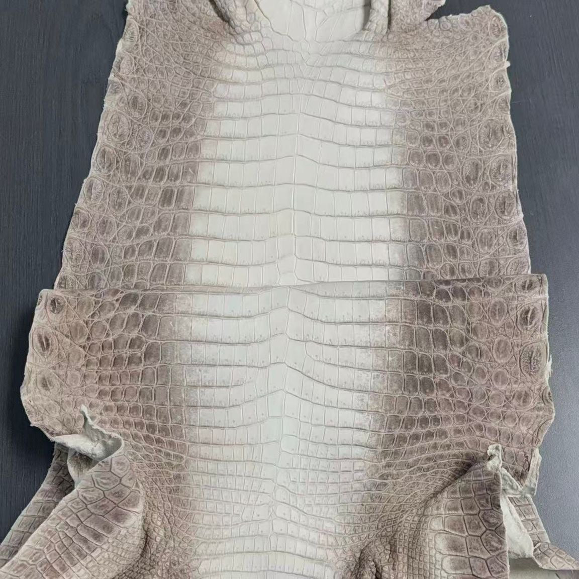 Himalayan "Gris" Croc Matte Finished Skin - Sunny Exotic Leathers