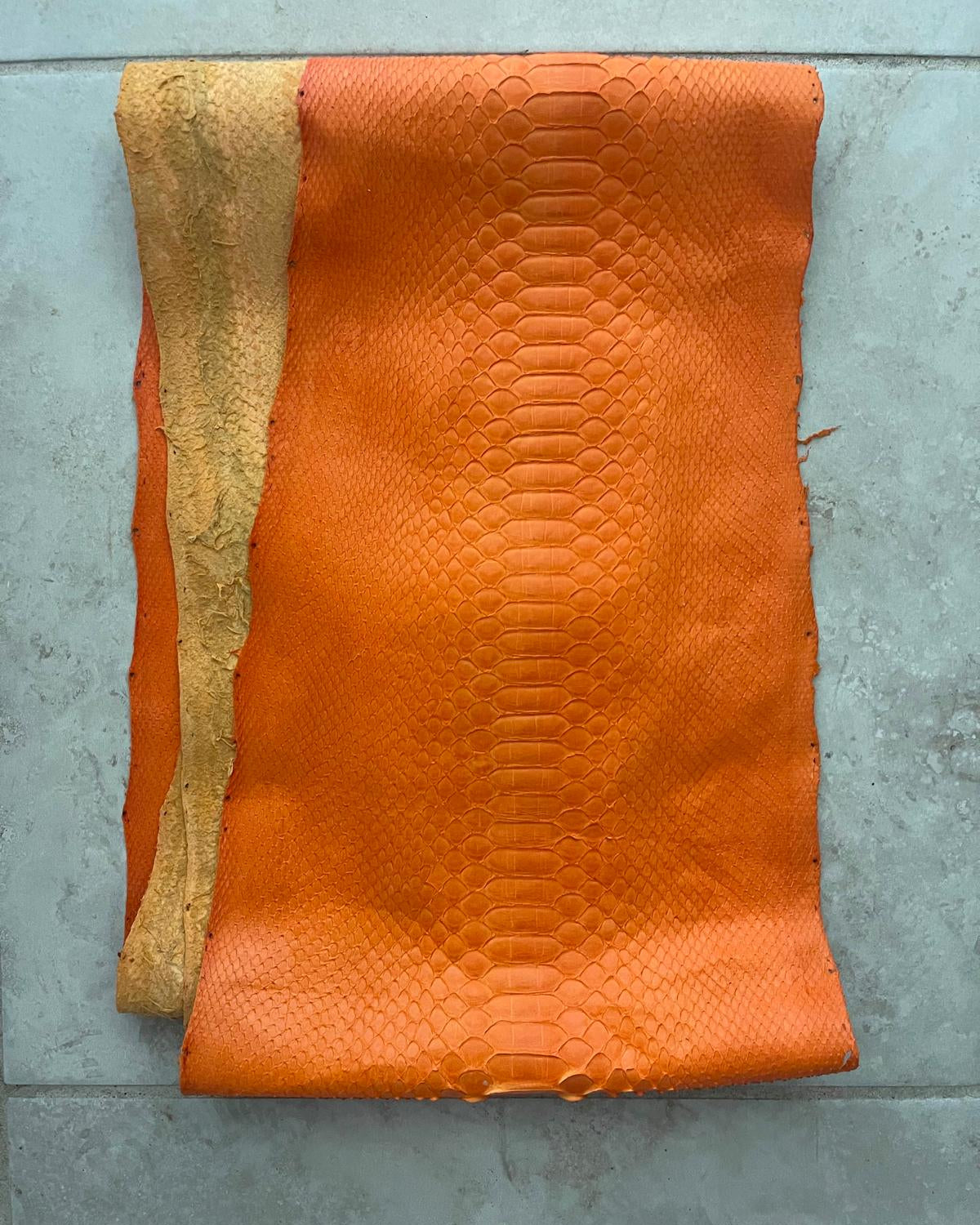 Python Colored Custom Finished Exotic Skins - Sunny Exotic Leathers