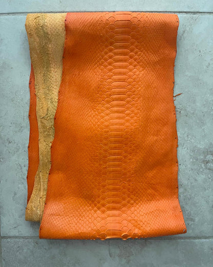 Python Colored Custom Finished Exotic Skins - Sunny Exotic Leathers