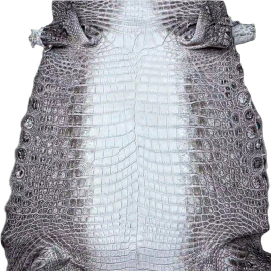 Himalayan Crocodile