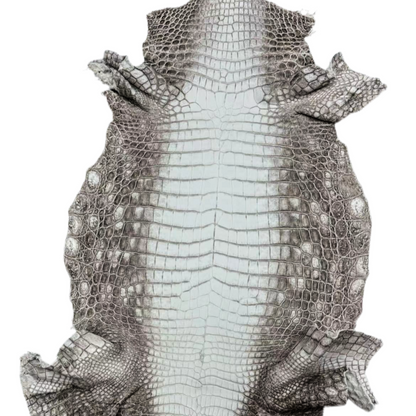 Himalayan Crocodile