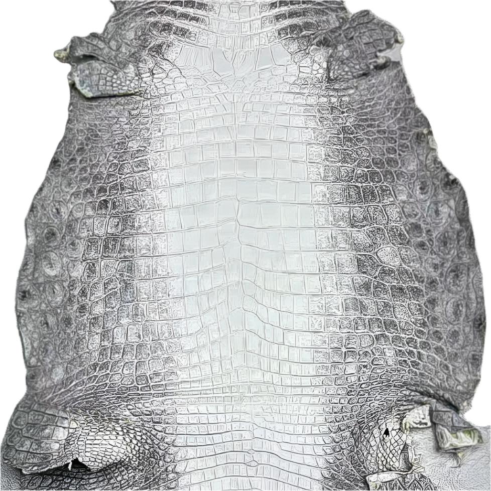 Crocodile skin cost online