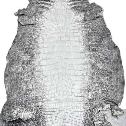 Himalayan Crocodile