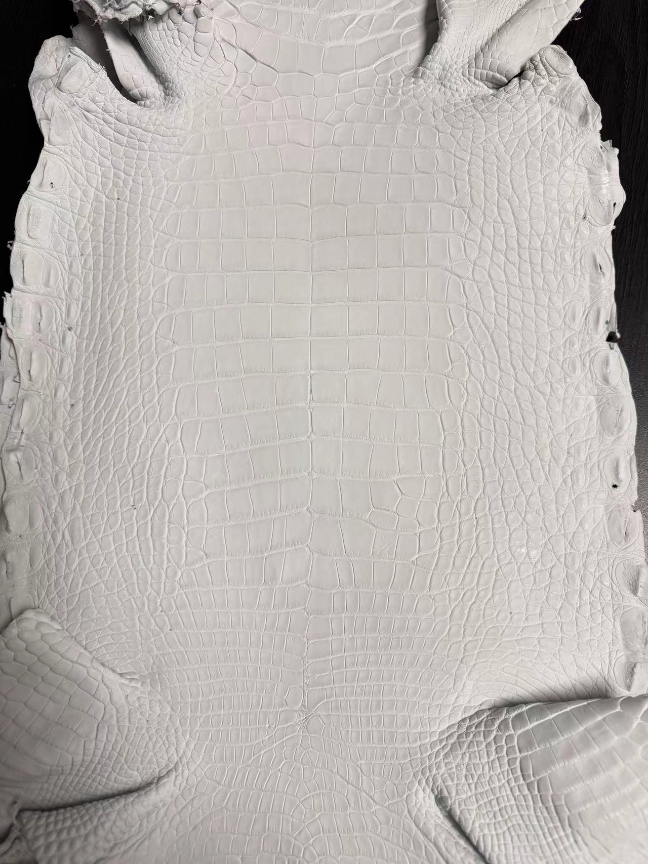 Alligator Crust Skin - Grade I/II - Sunny Exotic Leathers