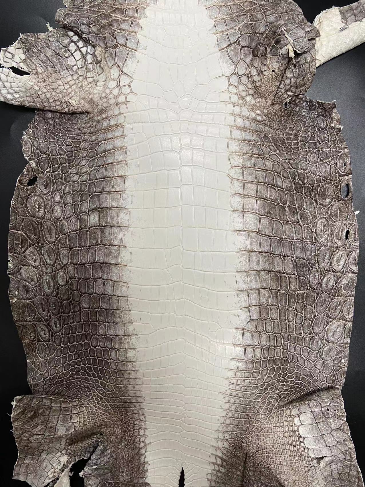 Himalayan Niloticus Crocodile Matte Finish - Sunny Exotic Leathers