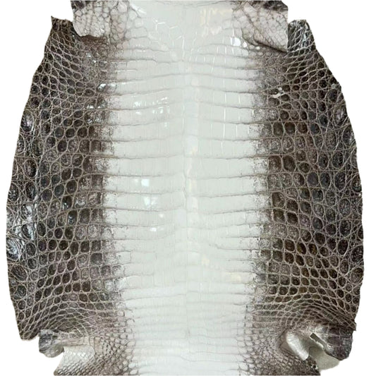 Shiny Himalayan Croc (Glazed)