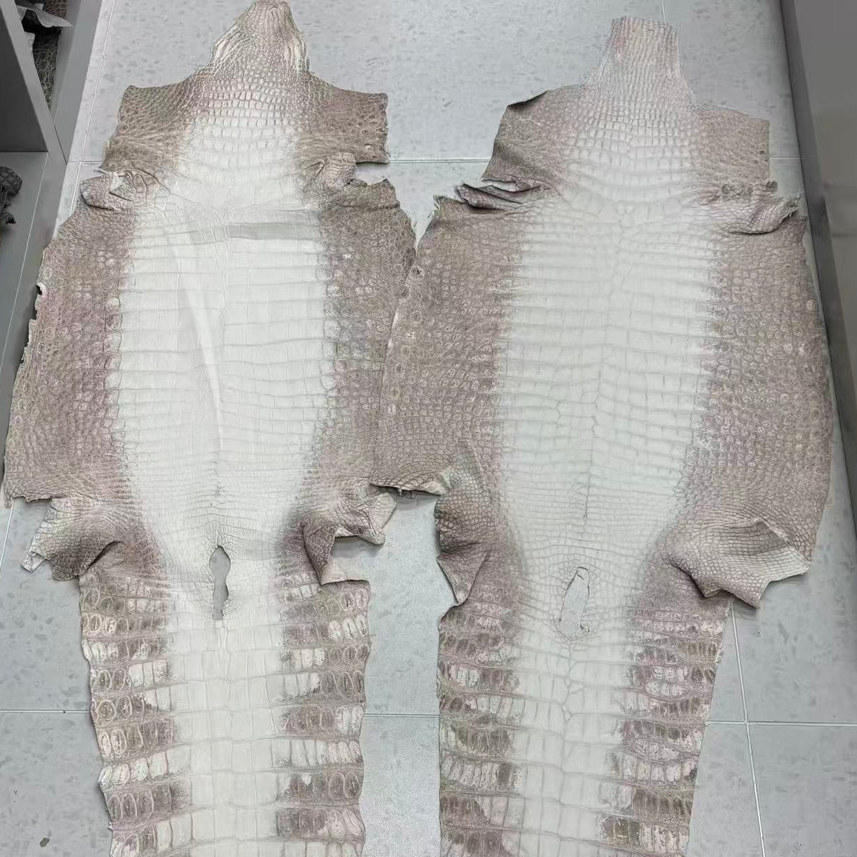 Matte Himalayan Croc Skin (Grey) - Sunny Exotic Leathers