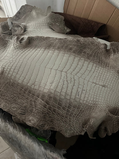 Himalayan Grade 2/3 Matte Croc Skins (Lower Prices) - Sunny Exotic Leathers