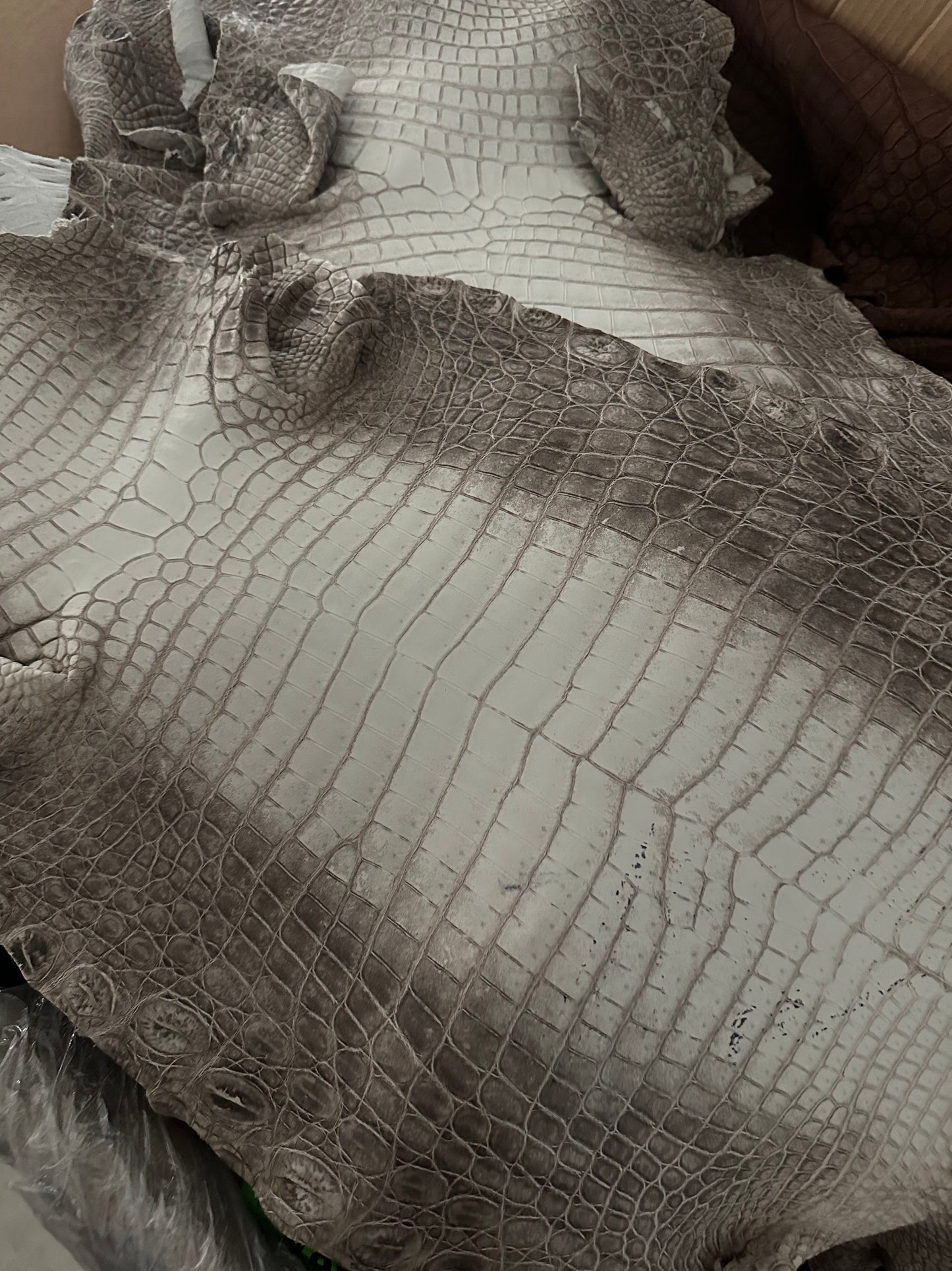 Himalayan Natural Matte Finished Croc Skin