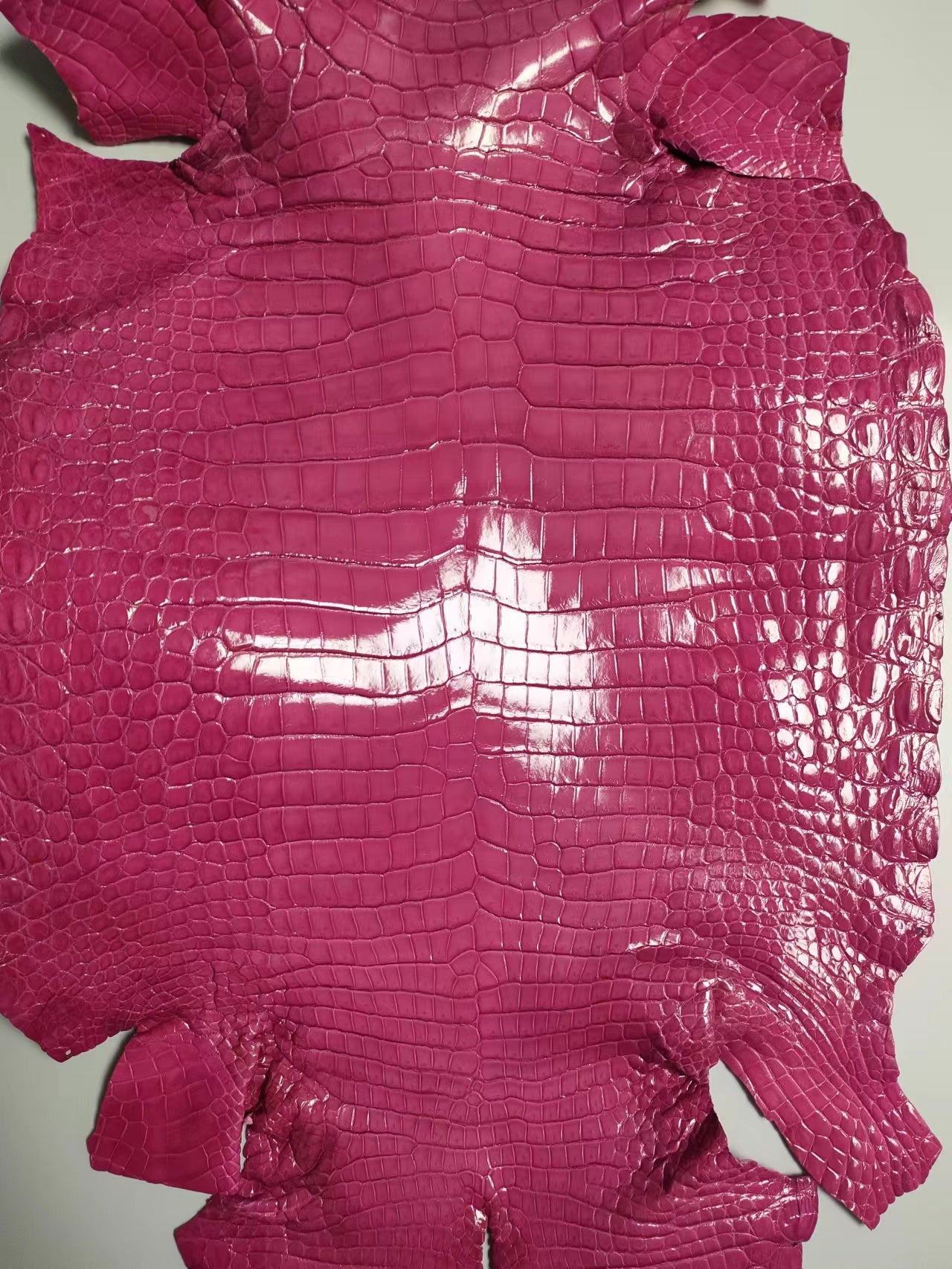 NEW Glazed Porosus Grade I/II Crocodile Skin (Black Friday Promo) - Sunny Exotic Leathers