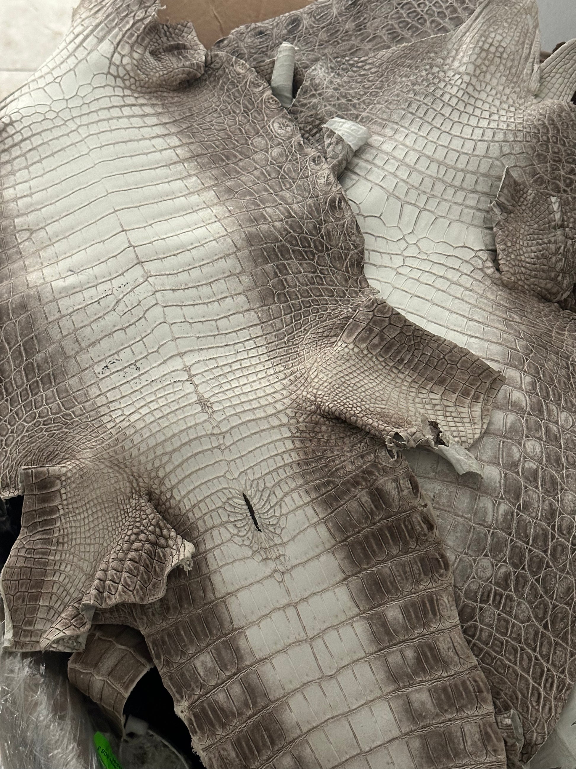 Himalayan Grade 2/3 Matte Croc Skins (Lower Prices) - Sunny Exotic Leathers