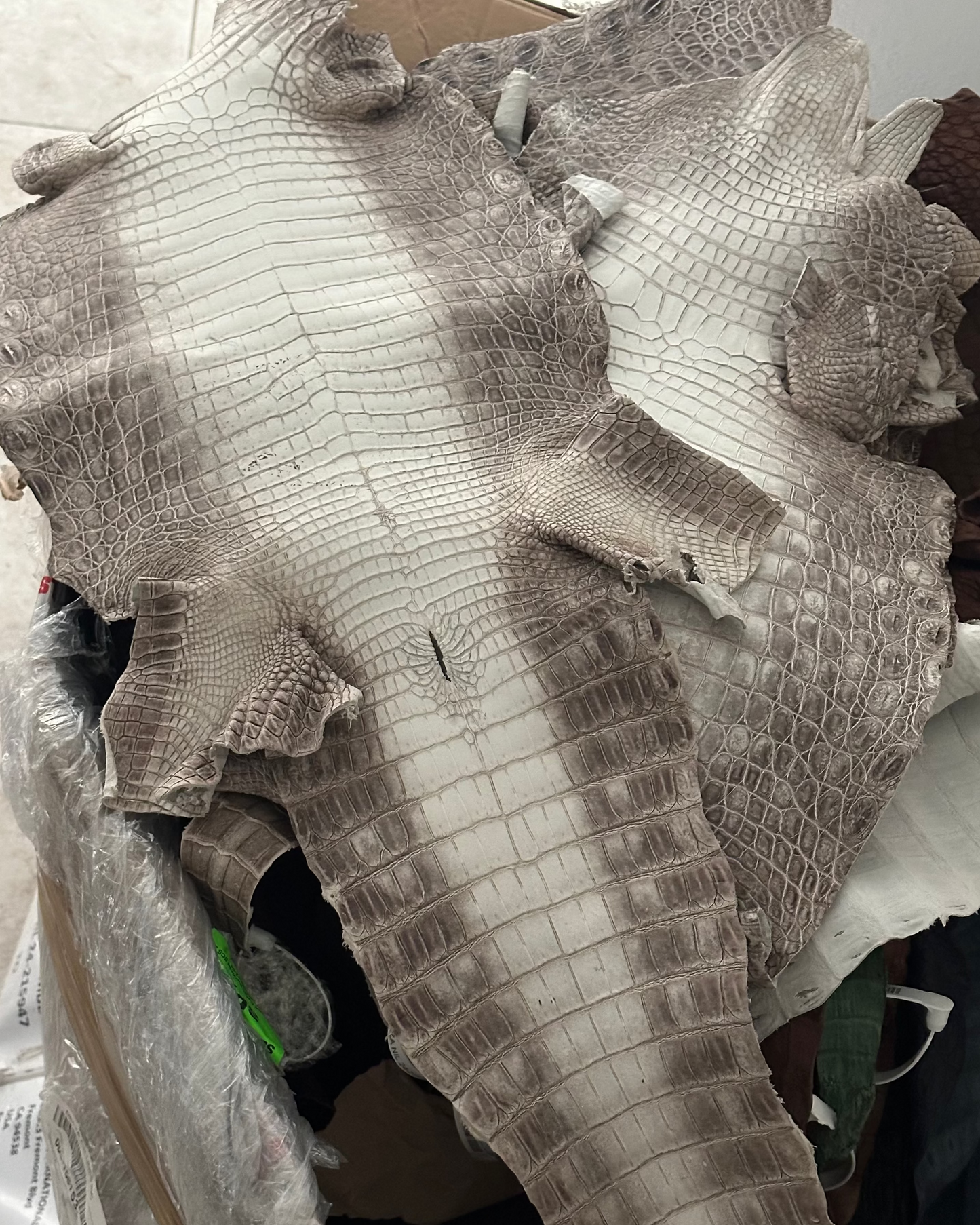 Himalayan Natural Matte Finished Croc Skin