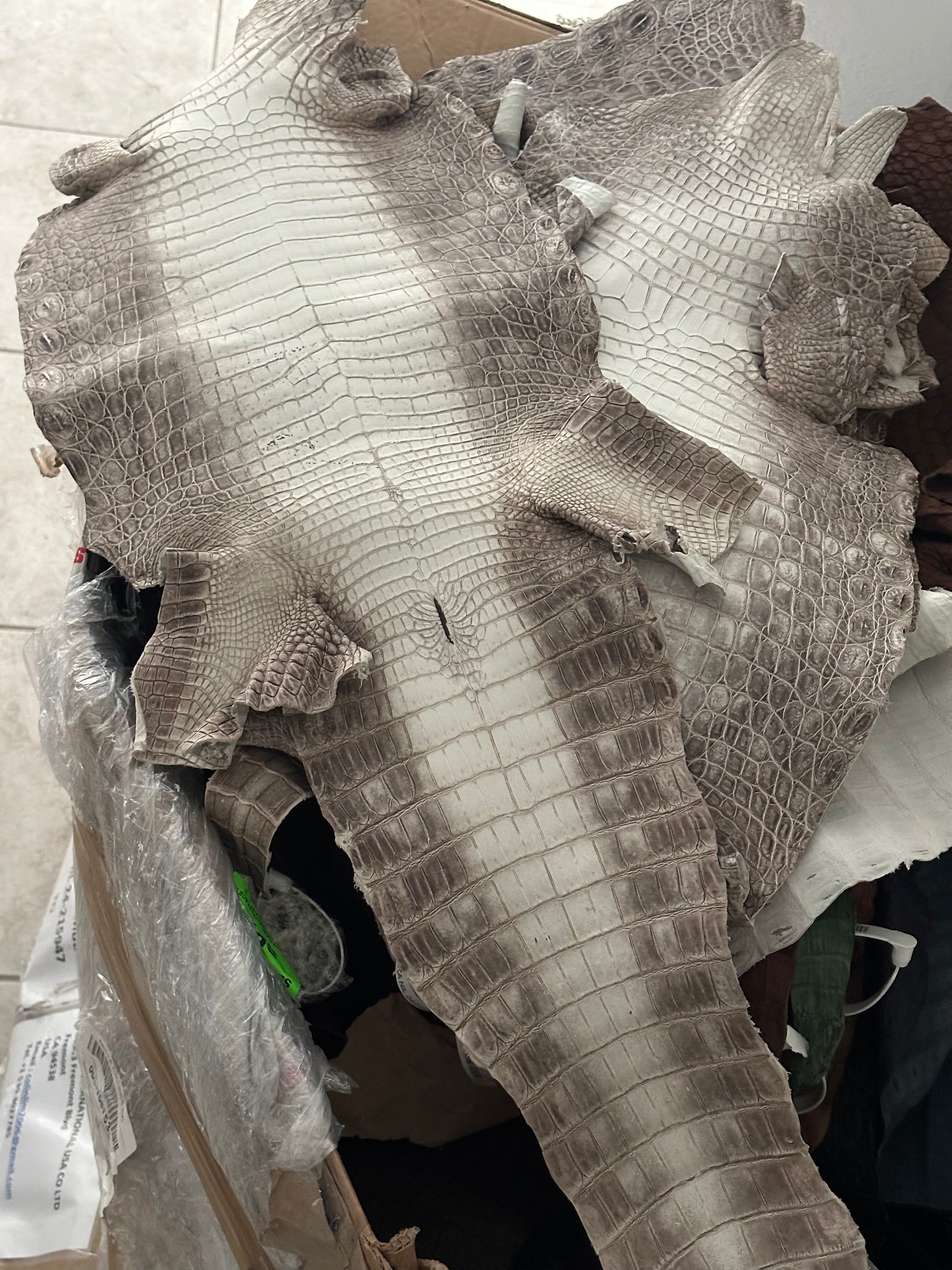 Himalayan Grade 2/3 Matte Croc Skins (Lower Prices) - Sunny Exotic Leathers