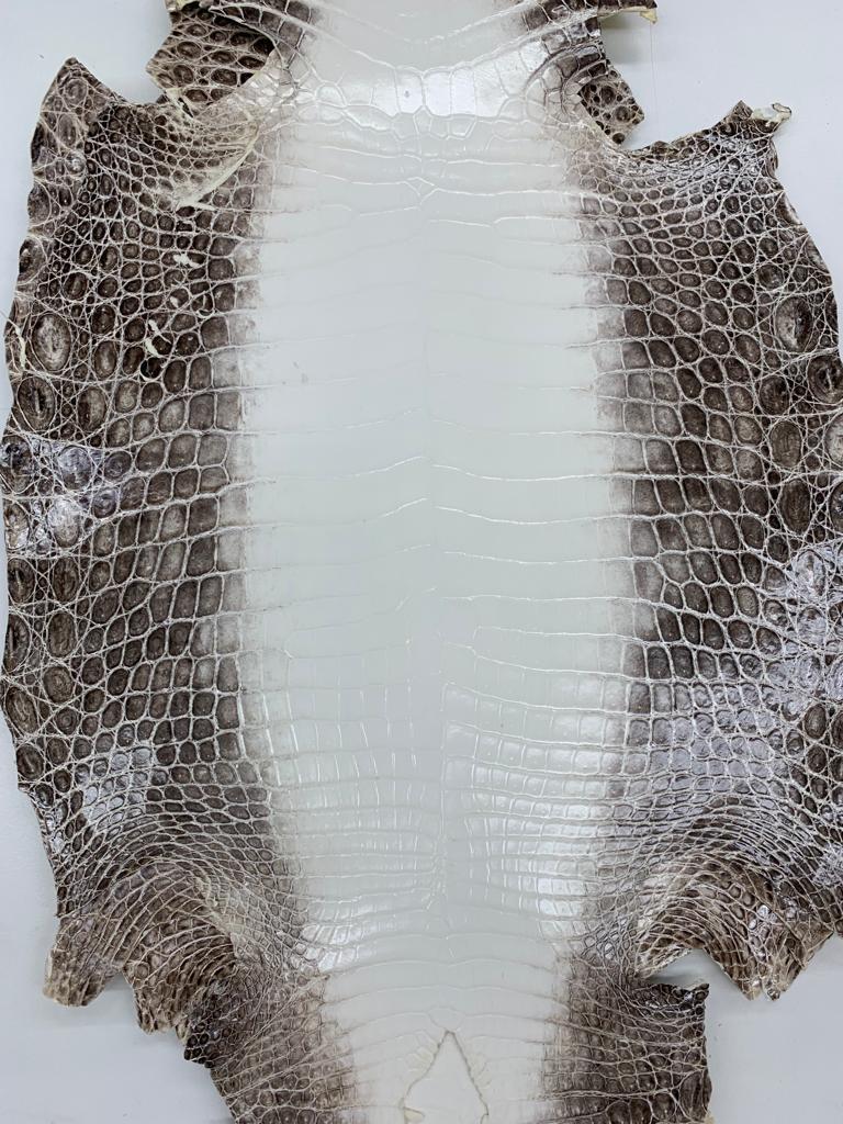 Sunny Exotic Leather Tannery - Luxury Crocodile, Python & Lizard Skins