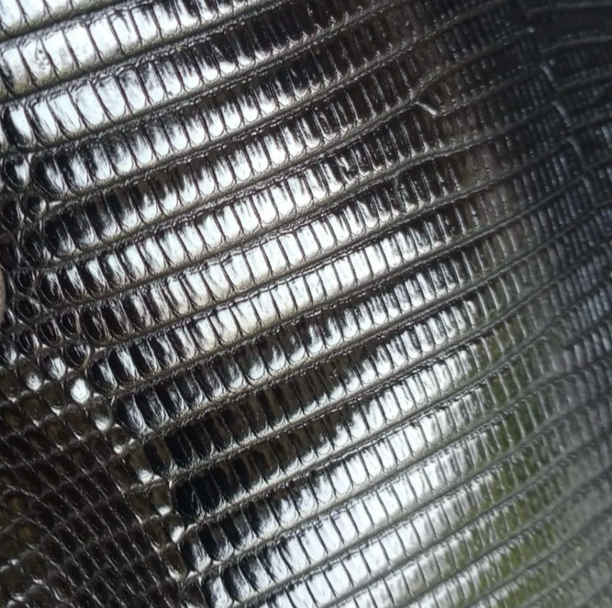 Grade 1 Black Ring Lizard Skin | Genuine Varanus Salvator - Sunny Exotic Leathers