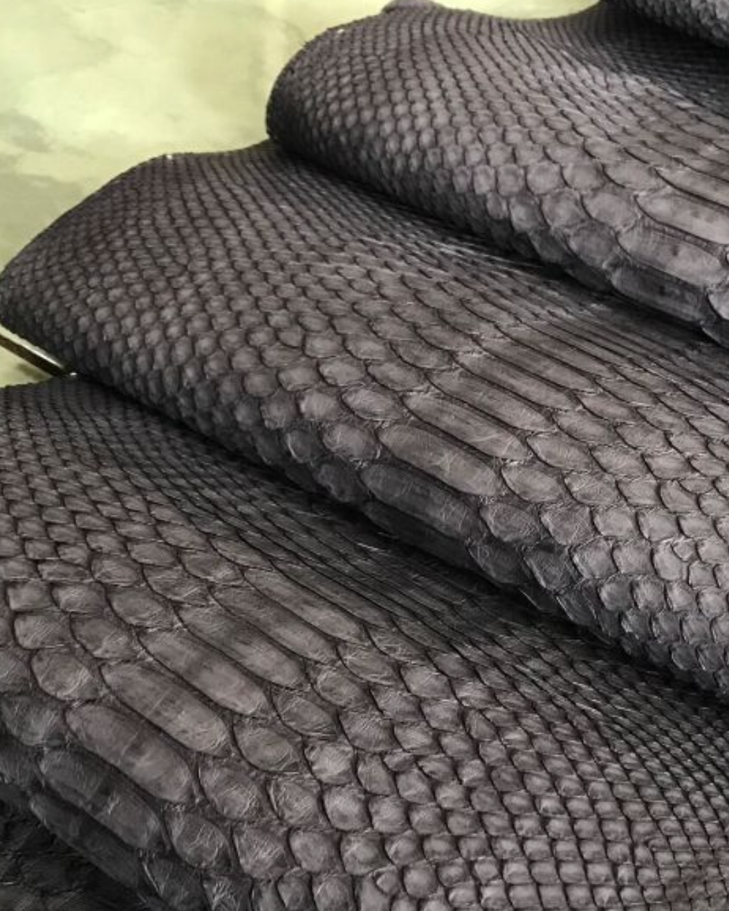 Black Python Skin Pattern What Does A Black Snake Skin Look Like