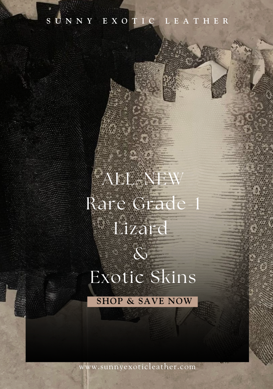 Grade 1 Lizard Bundle (Save)