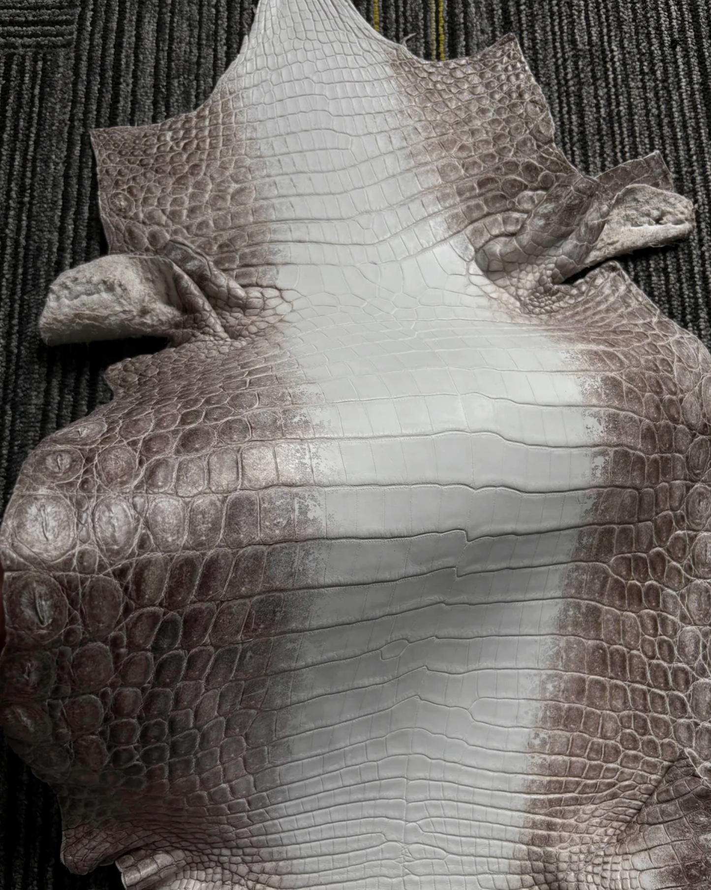 Himalayan Croc Matte Finished Skin (Brown/Gr. 2)