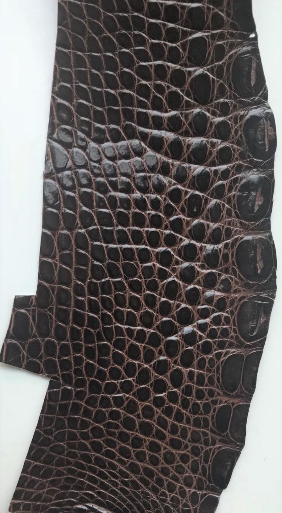 Gator Flanks (Various Colors) - Grade 1 - Sunny Exotic Leathers