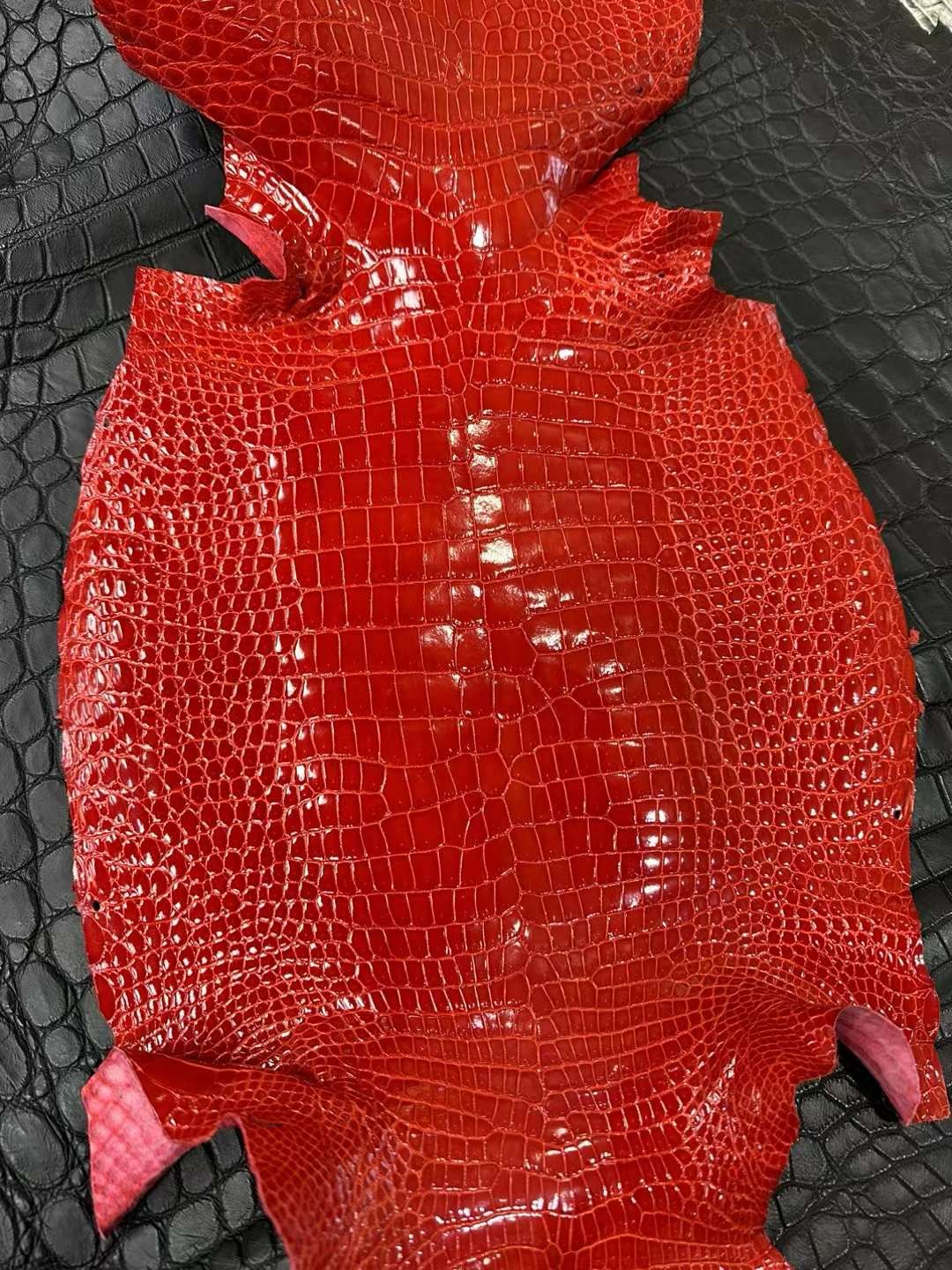 Glazed Porosus Crocodile Skin Special Seasonal Colors