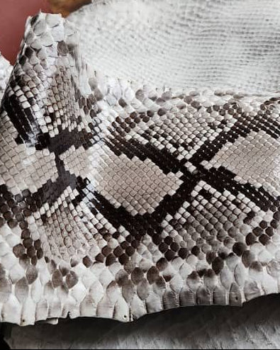 Sunny Exotic Leather Tannery - Luxury Crocodile, Python & Lizard Skins ...