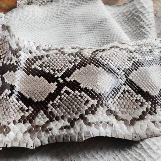 Sunny Exotic Leather Tannery - Luxury Crocodile, Python & Lizard Skins ...