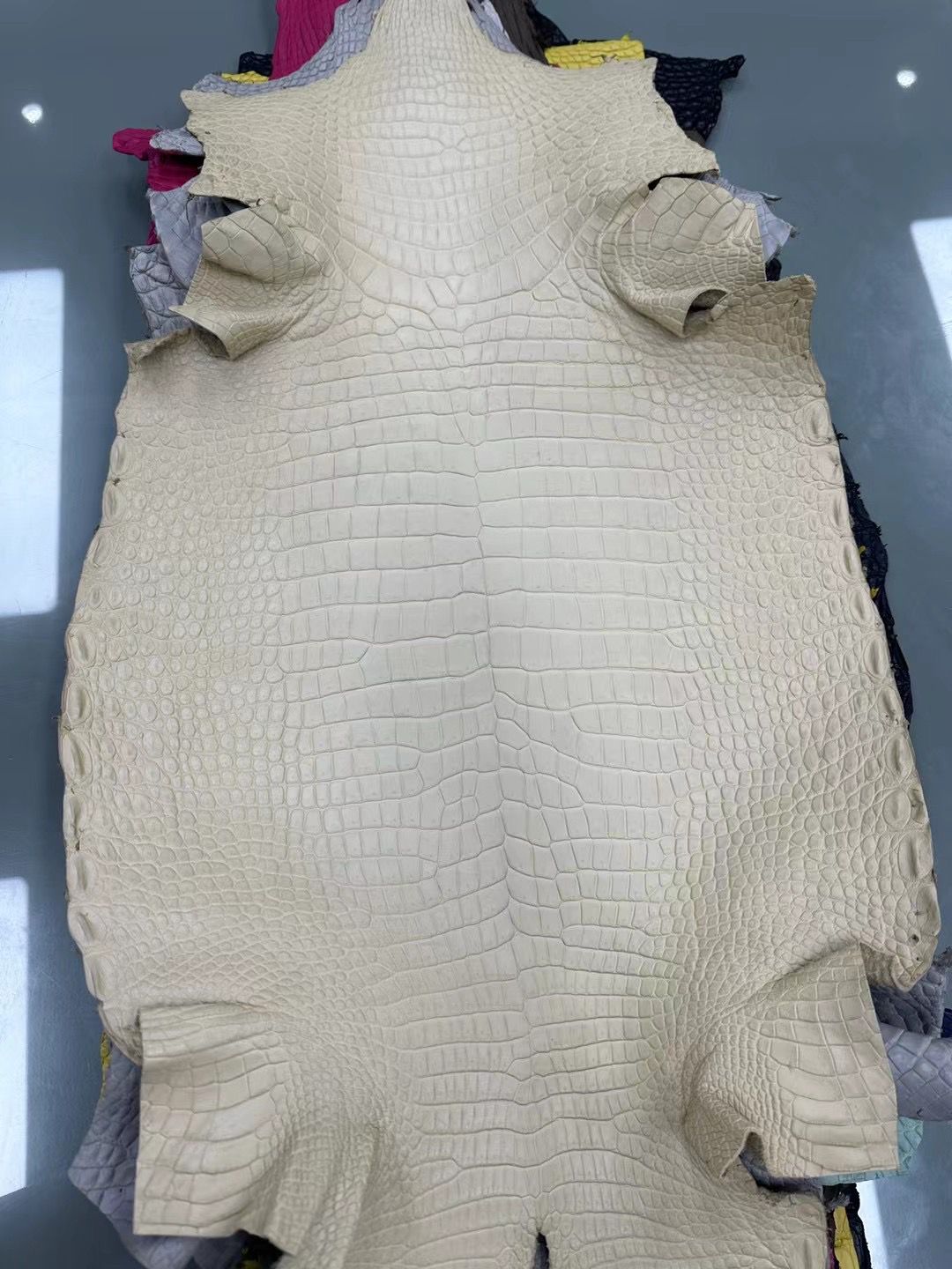 Porosus Crocodile - NEW SPRING MATTE COLORS - Sunny Exotic Leathers