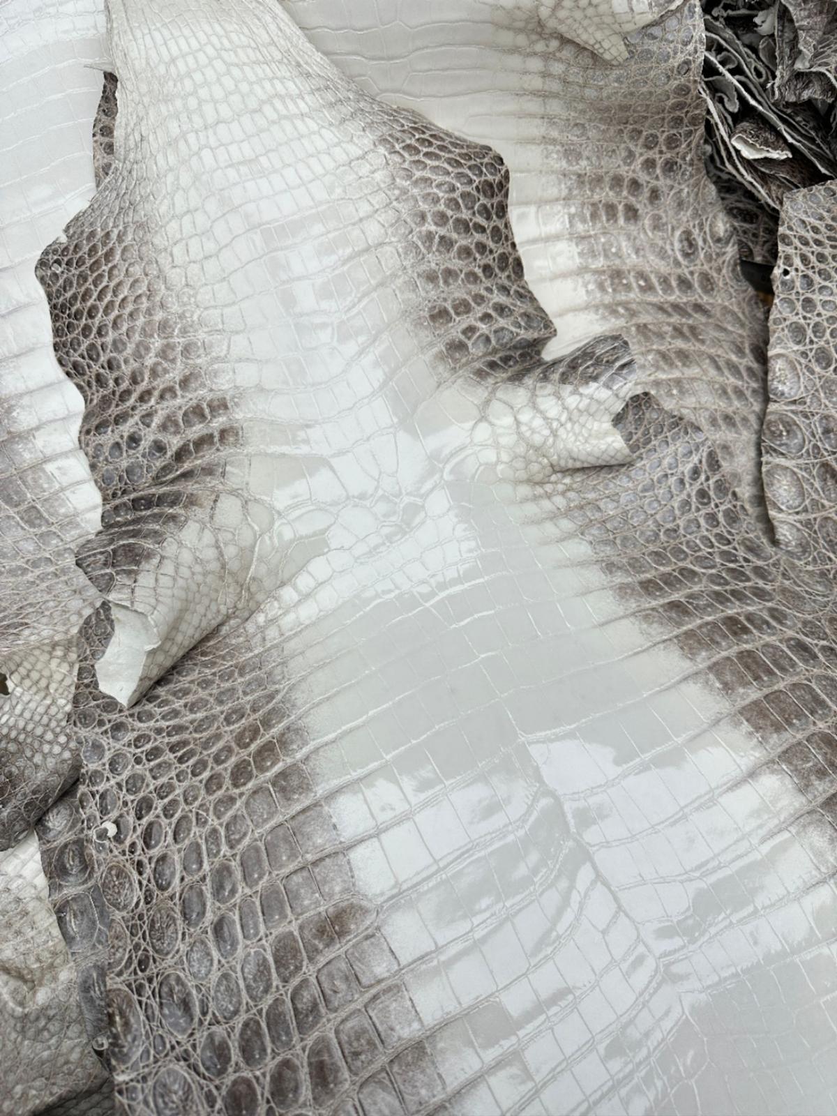 Himalayan Crocodile Glazed Finish - Sunny Exotic Leathers