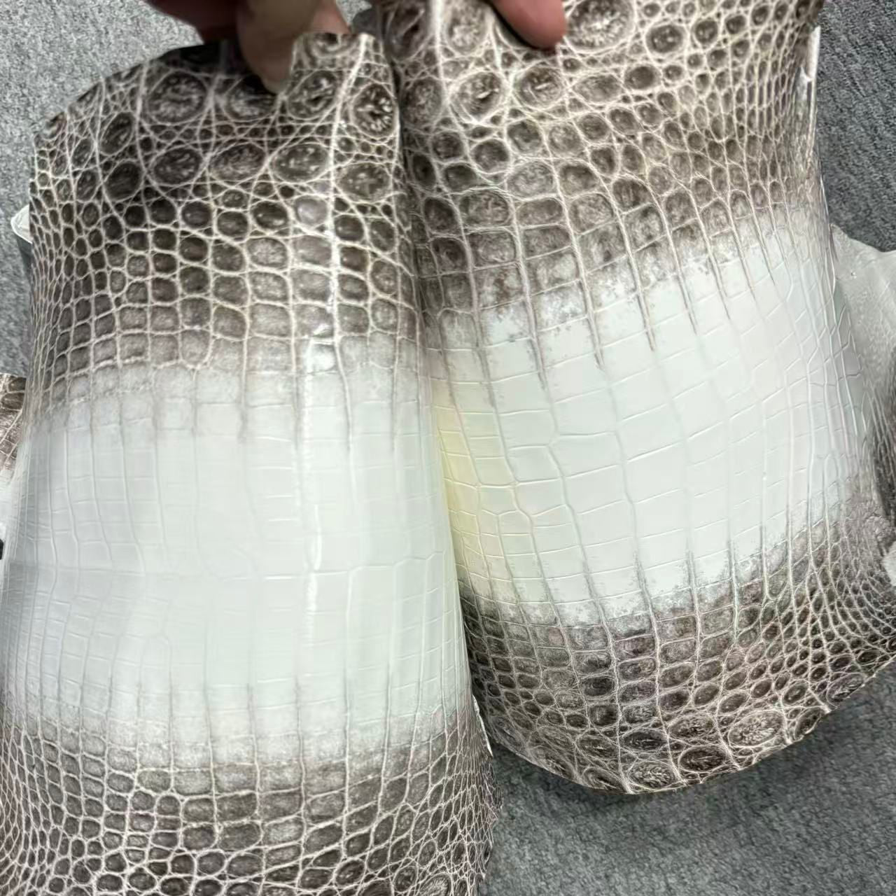 Himalayan Croc Leather (Millennium)