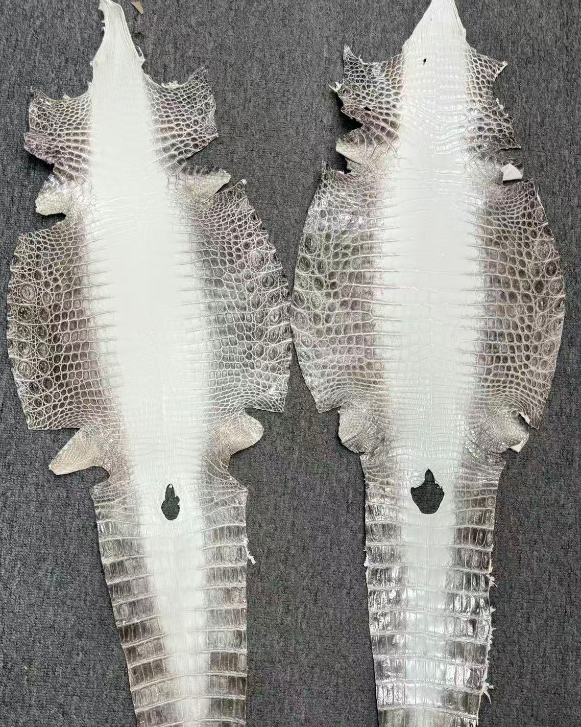 Himalayan Croc Leather (Millennium Finish) – Sunny Exotic Leather