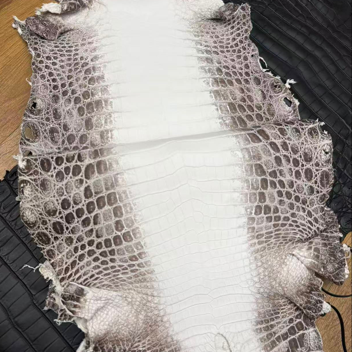 Himalayan Matte Skin - Sunny Exotic Leathers