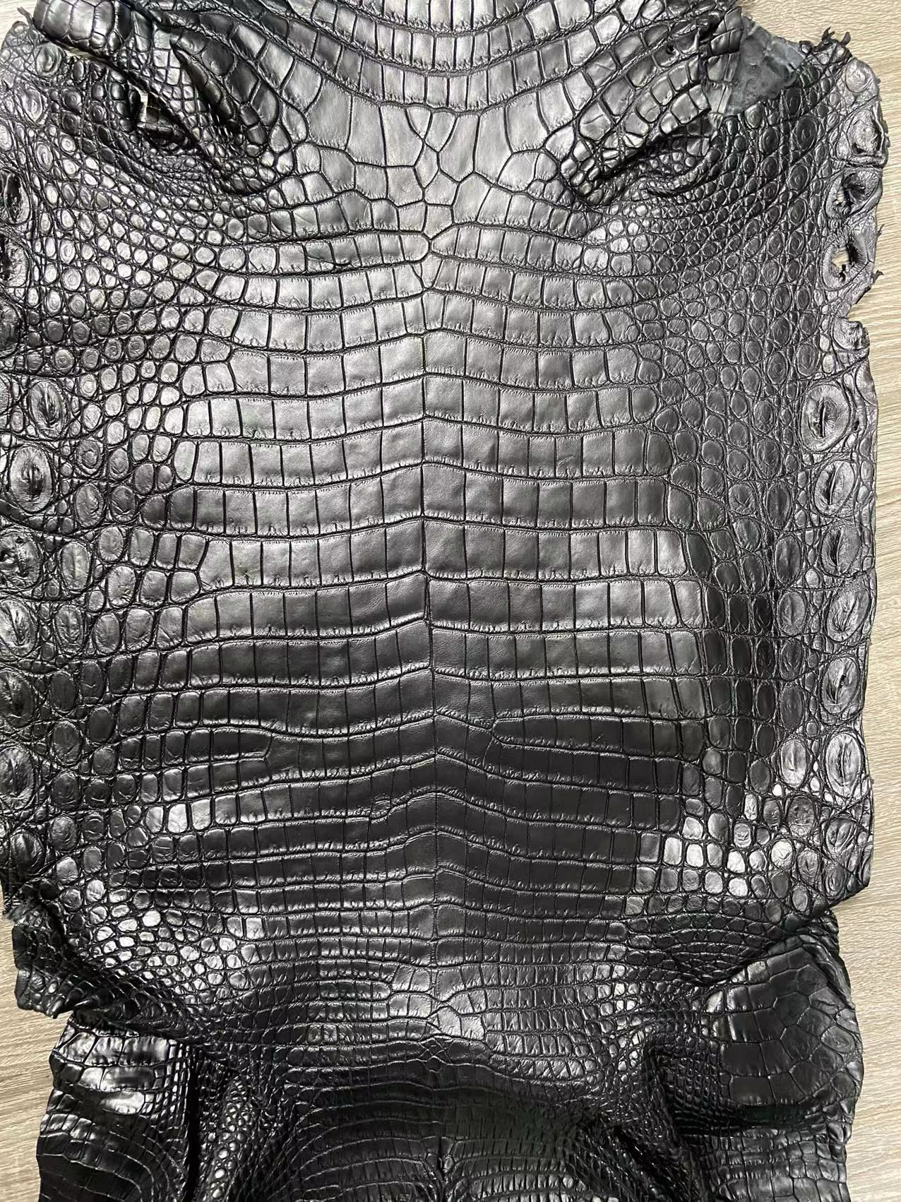 Himalayan Niloticus Crocodile Matte Finish