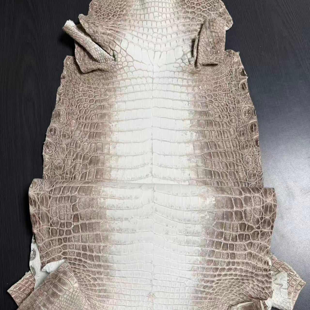 Himalayan "Gris" Croc Matte Finished Skin - Sunny Exotic Leathers