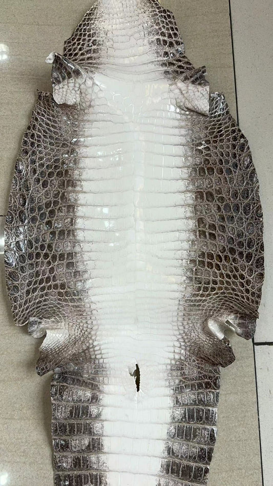 Himalayan Niloticus Crocodile Glazed Finish - Sunny Exotic Leathers
